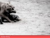 7 Newest Free jQuery Plugins For This Week #8(2018)